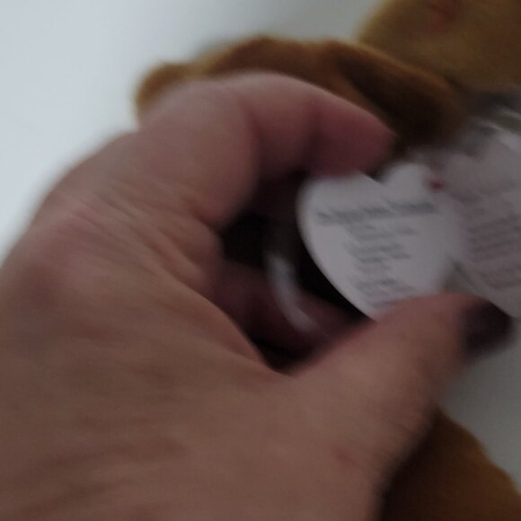 TY Beanie Baby Lot of 2 Dogs Weenie 1995 Tiny 1999 Mint One Owner - Picture 4 of 11